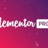 Elementor Pro WordPress Plugin